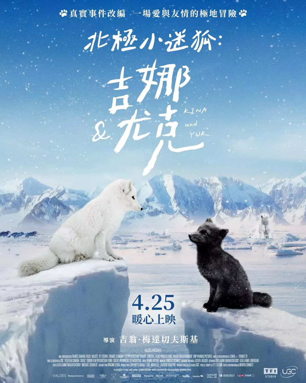 北极小迷狐吉娜,尤克