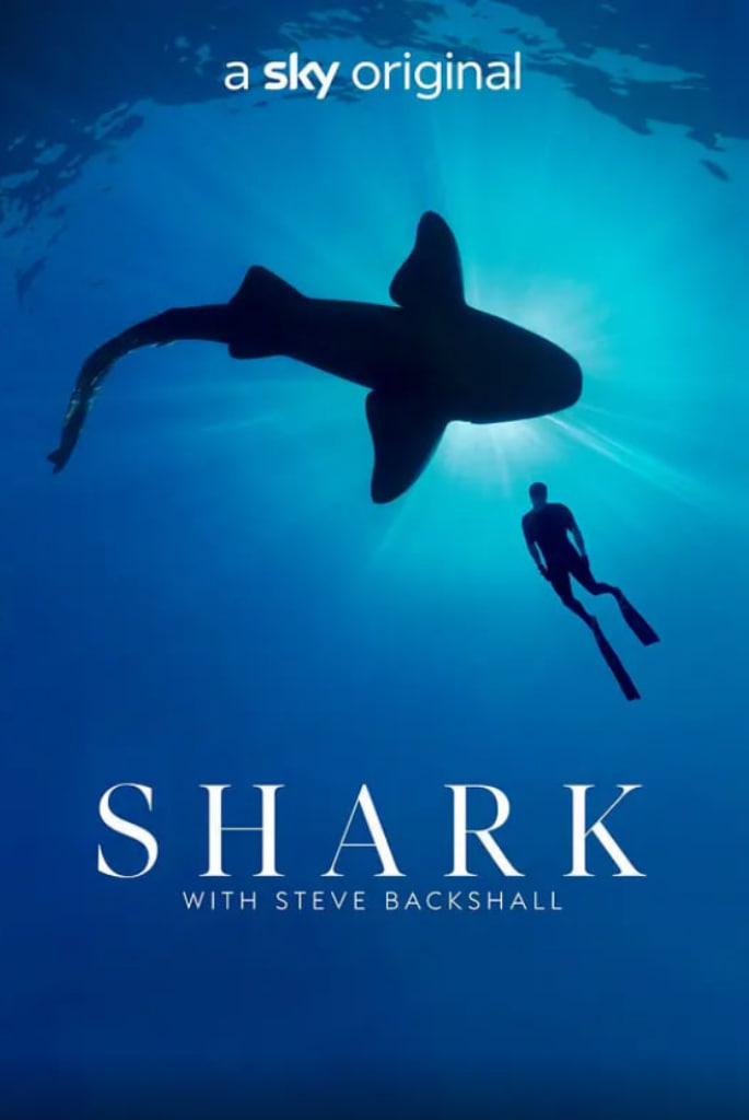 与鲨共舞 第一季