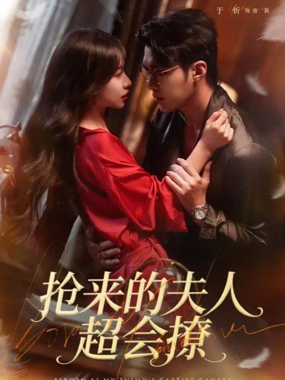 抢来的夫人超会撩