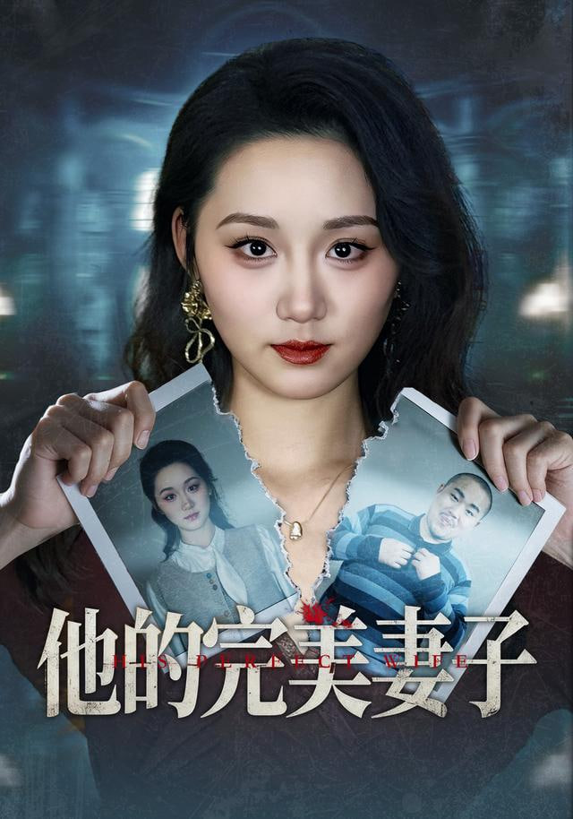 他的完美妻子
