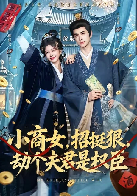 小商女，挺挺狠，劫个夫君是权臣